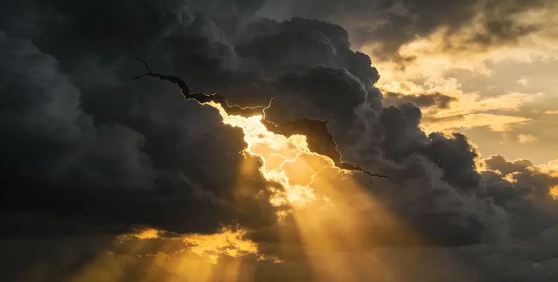 鹤壁肺癌8基因突变检测（组织）图片1