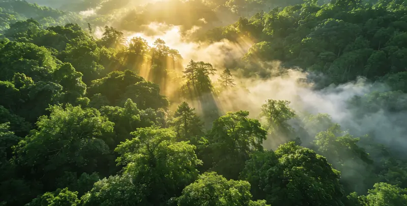 鹤壁肺癌靶向120基因检测（组织）图片1