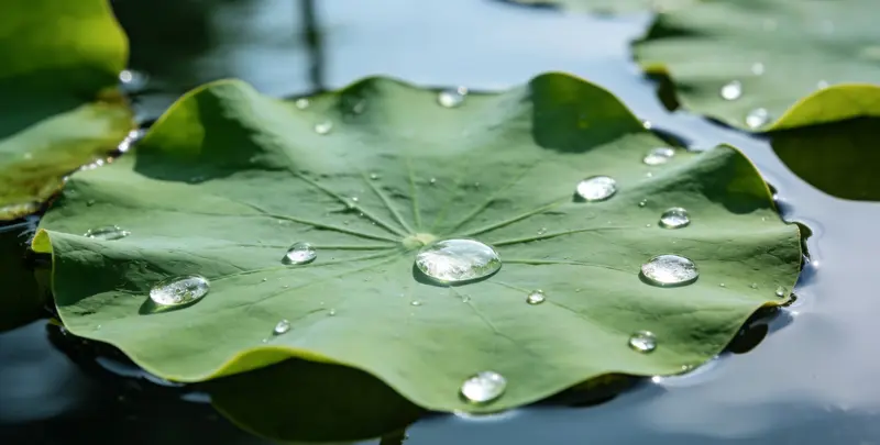 鹤壁乳腺癌21基因mRNA表达分析图片1